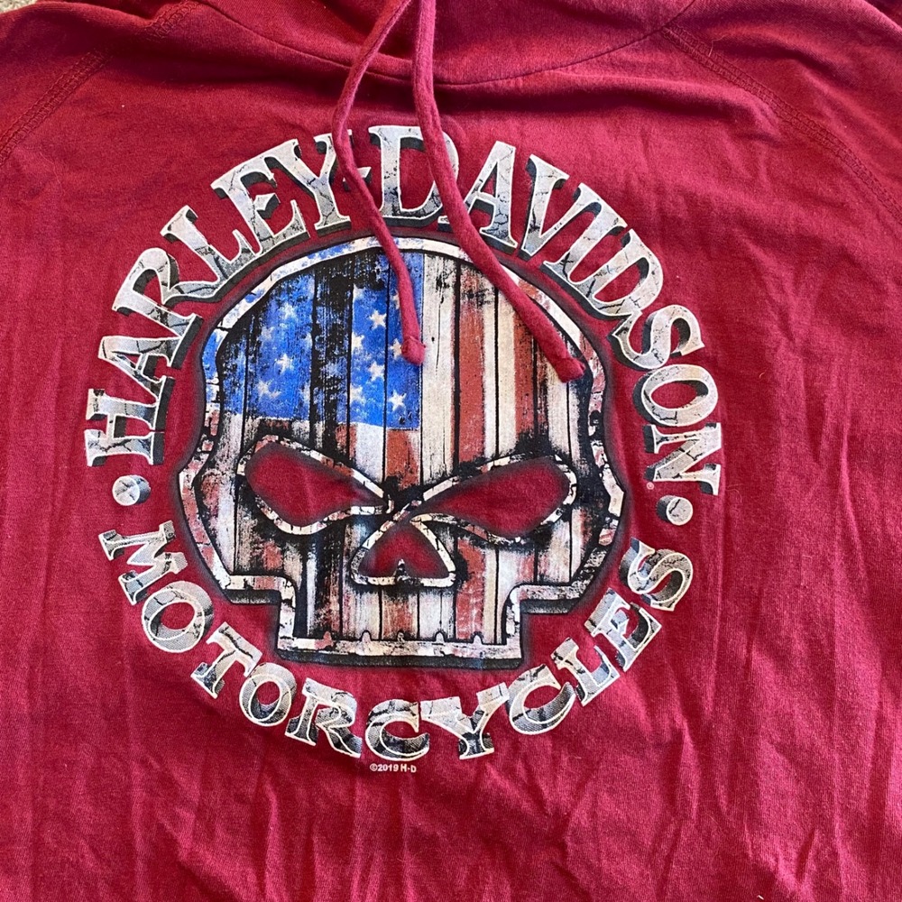 Harley-Davidson Mens Large Willie G Skull Hooded Long Sleeve T-Shirt MI